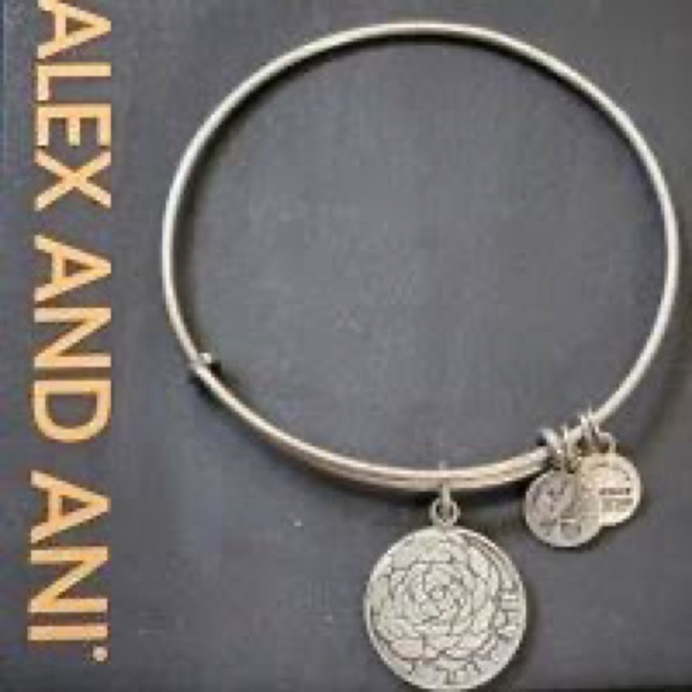 Alex and Ani Silver My Other Half Bracelet